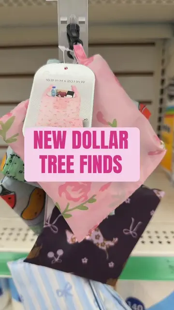 Run do not walk to Dollar tree these packable totes are amazing! I love all the 