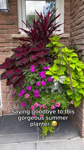 Saying goodbye to our summer annuals is always so sad! These plants were still l