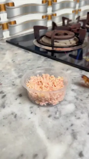 Cockroaches Keep Coming Back? Try This Simple Home Cockroach Control Method