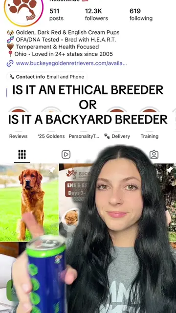 A program using pup mill dogs 🫠 #backyardbreeding #backyardbreeder #puppymillaw