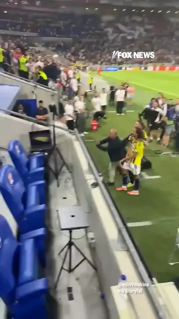 WATCH: A massive brawl breaks out near the stands after Turkish soccer club Fene