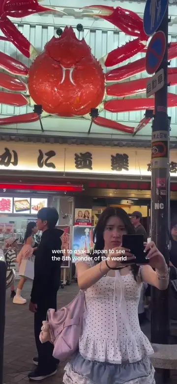 drop your crab dotonbori pics in the comments #osaka #japan #dotonbori #crab #os