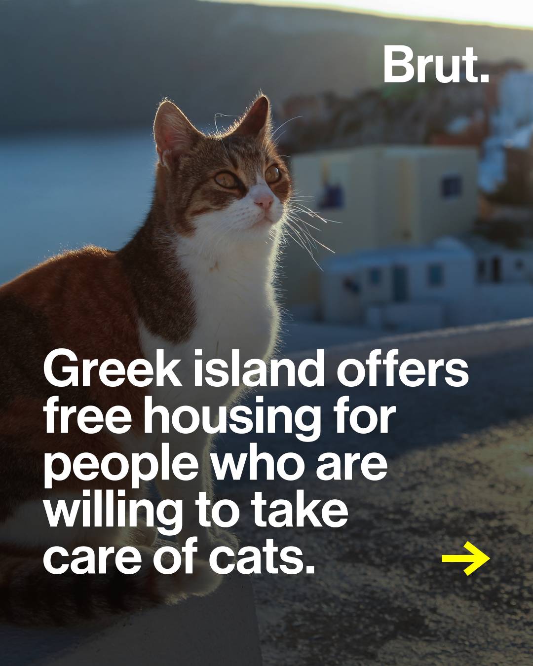 The Greek island of Syros offers free accommodations for volunteers who are will
