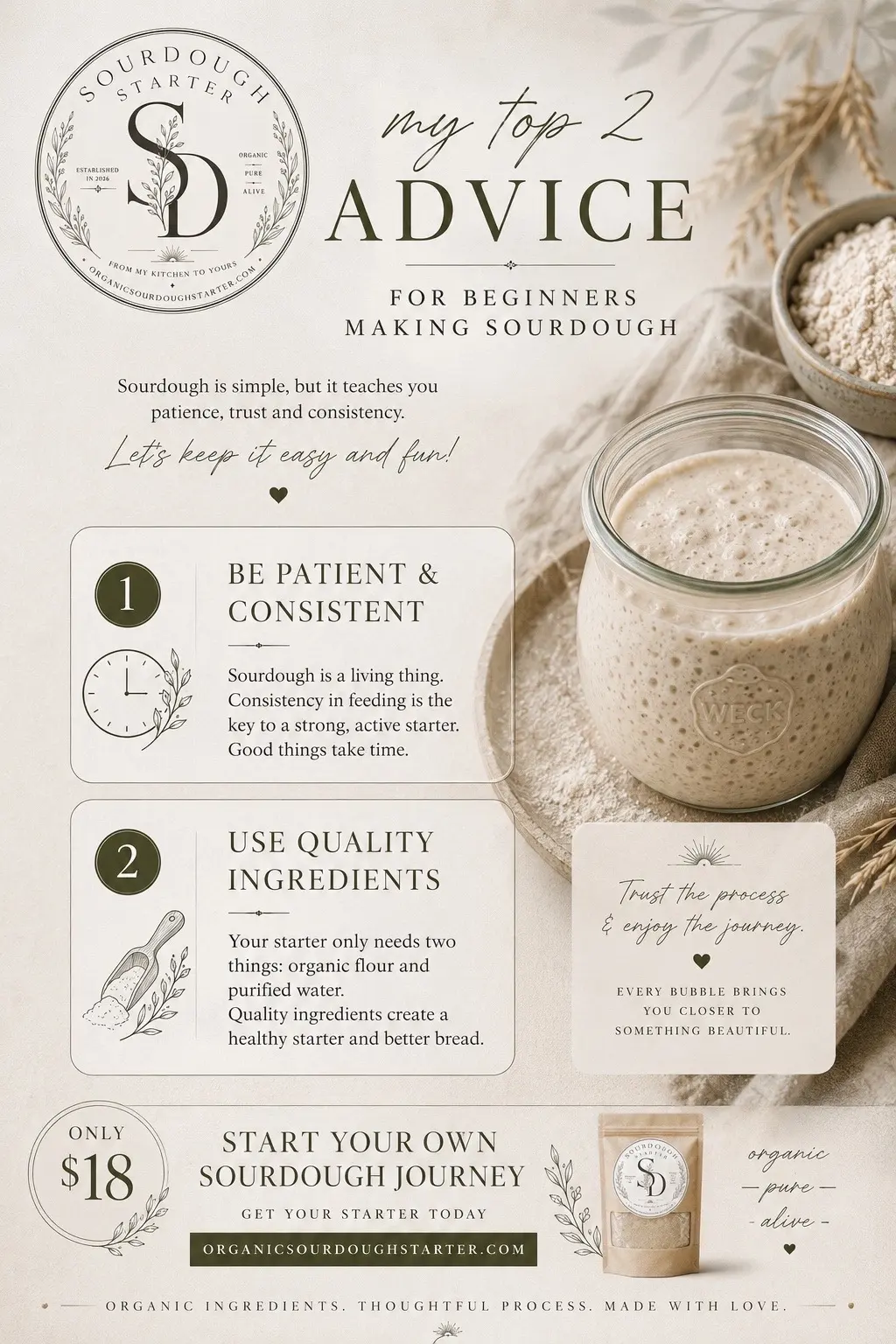 If you’re brand new to sourdough, I need you to know something… you do not have 