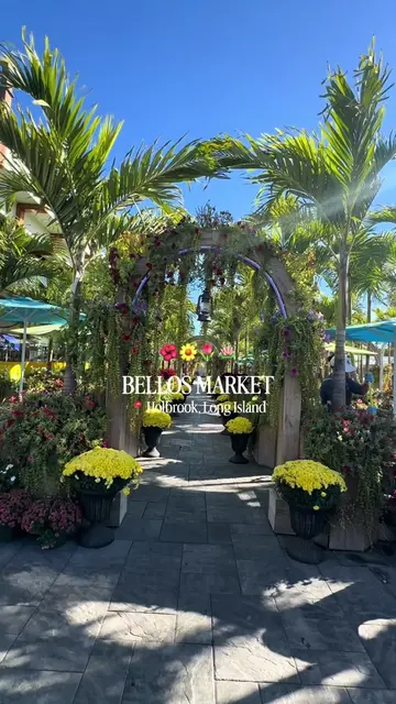 🌼🌺🌸🌷 @bell0farms if you haven’t been to bello poultry market in holbrook yet