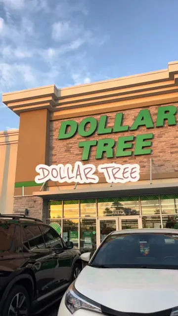@callmelolab  3 Dollar Tree hacks that actually make life easier 👀 Which one ar