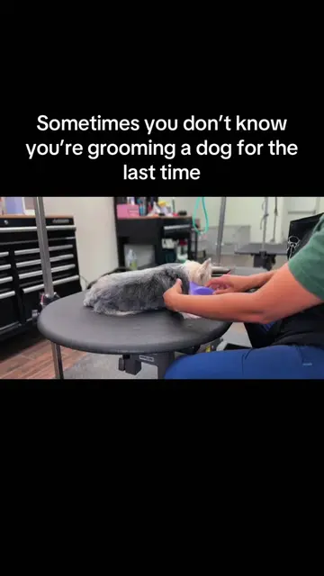 Sometimes you don’t know it’s the last groom until it was the last groom. 🥺❤️ H