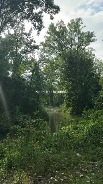 The prettiest walk 🌲  #nature #river #naturewalks #walk #romantasizing 