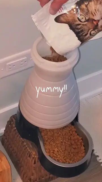 YUMMY!! Freshly filled feeder 😸 Gravity feeder is in my Chewy storefront. https