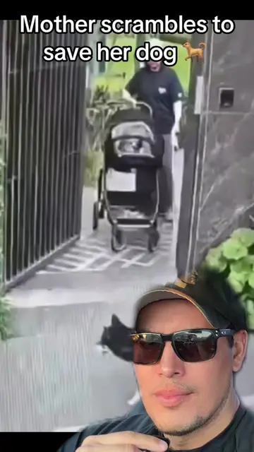 #greenscreenvideo 
