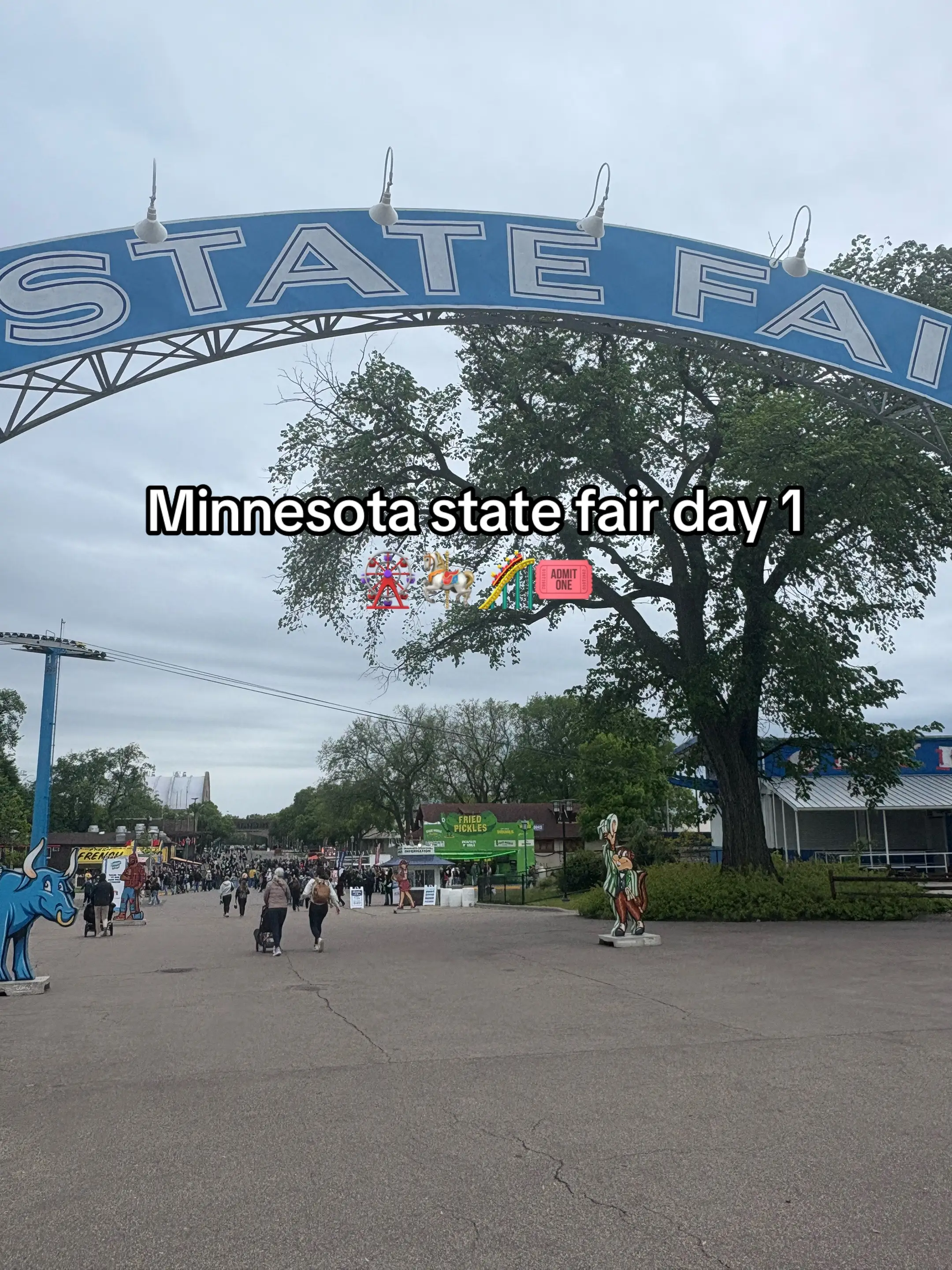 #minnesota #minnesotastatefair #statefair #food #fyp 