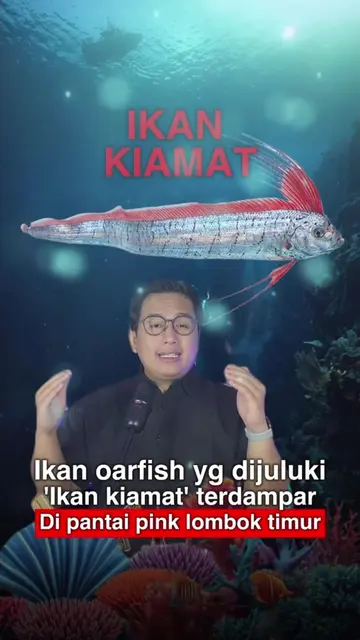 Ikan Oarfish Terdampar di Lombok, Netizen: Tanda Bencana??