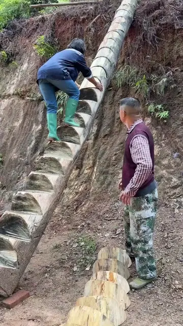 🪵 Transporting Wooden Blocks Up a Log Staircase Chute