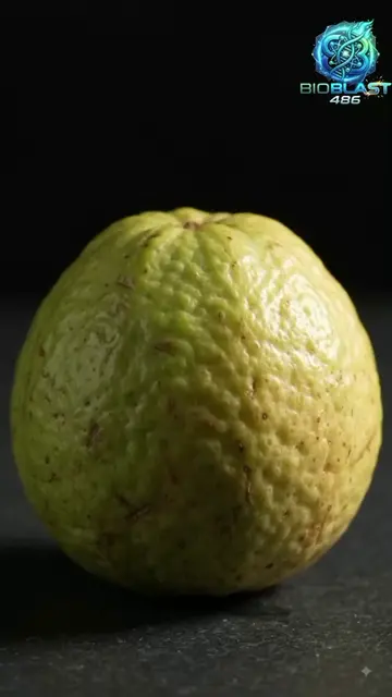 How Do Tiny Worms Get Inside a Perfectly Fresh Guava? 🍈🪰 #creatorsearchinsight