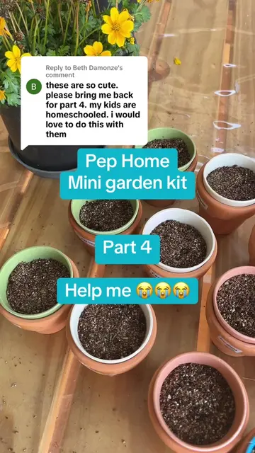 Replying to @Beth Damonze 🌱 Pep Home Mini Garden Kit | Part 4 🌱 Okay… I need h