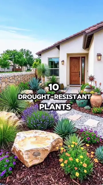 10 Drought-Resistant Plants That Thrive With Less Water 💧🌱 Looking for beautif