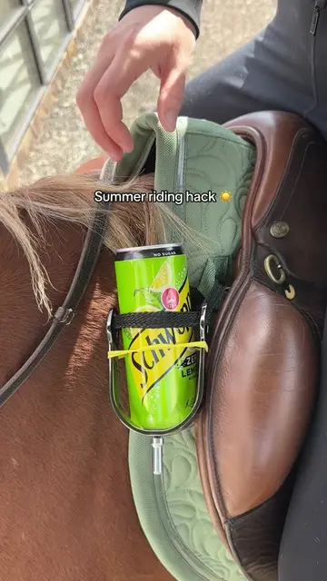 The summer riding hack ☀️💦 #horse #equestrian #horseriding #riding #horze 