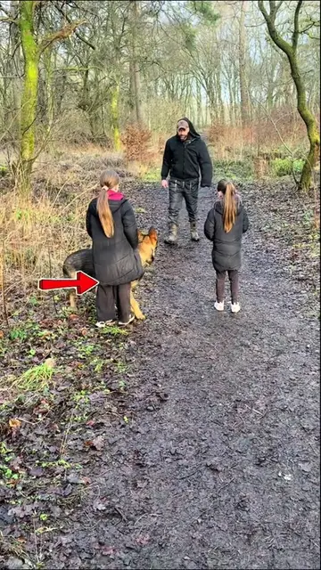 Family Protection dogs #@Protection k9 Global #familyprotectiondogs #protectiond