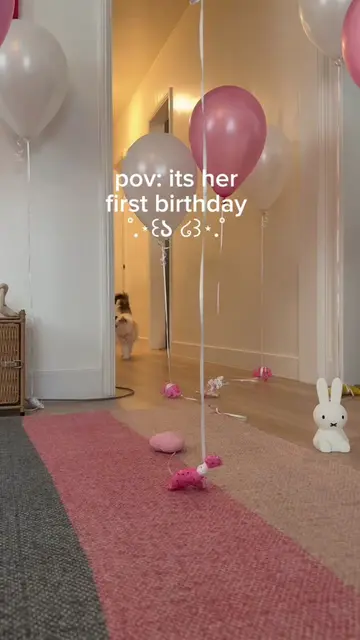bc its her first time living too.. 🥹🎂🐈🎀everyone say happy birthday to miss l