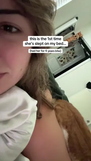 it’s literally 12 PM but I can’t move until she does. 😩😍 #cat  #orangecatbehav