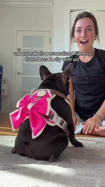 we are obsessed with mabels new boss and olly harness omg. it’s unbelievably per