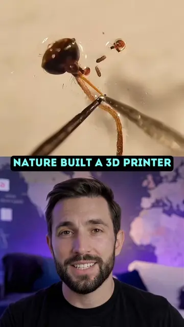 McGill University turned a mosquito’s proboscis into a tiny 3D printing tool wit