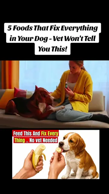 5  Foods That Fix Everything in Your Dog — Vets Won’t Tell You This! | #DogNutri