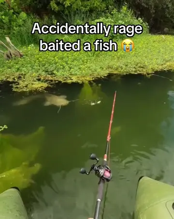 Fish knew something was up 😂 (via julienmalzieu/IG) #fishing #funny #fish #espn