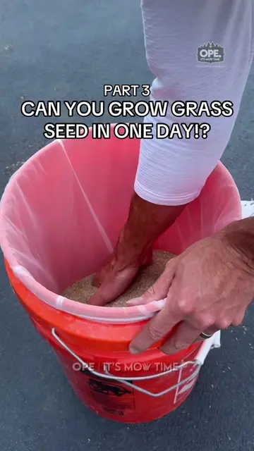 There’s no way this works… Part 3 | Can you grow grass seed in ONE DAY!? 🌱  #DI