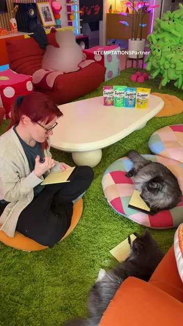#TEMPTATIONSPartner Sometimes a creative block requires a creative solution, cat