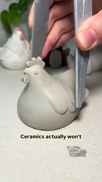 The chicken “maraca” and the free birdies at the end of the video are for sale i