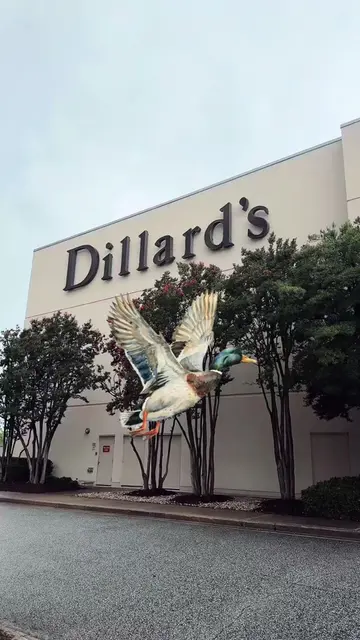 I’ll take one of EVERYTHING 🦆🤎🐾🦌 #dillards #ugc #creatorsearchinsights #coun