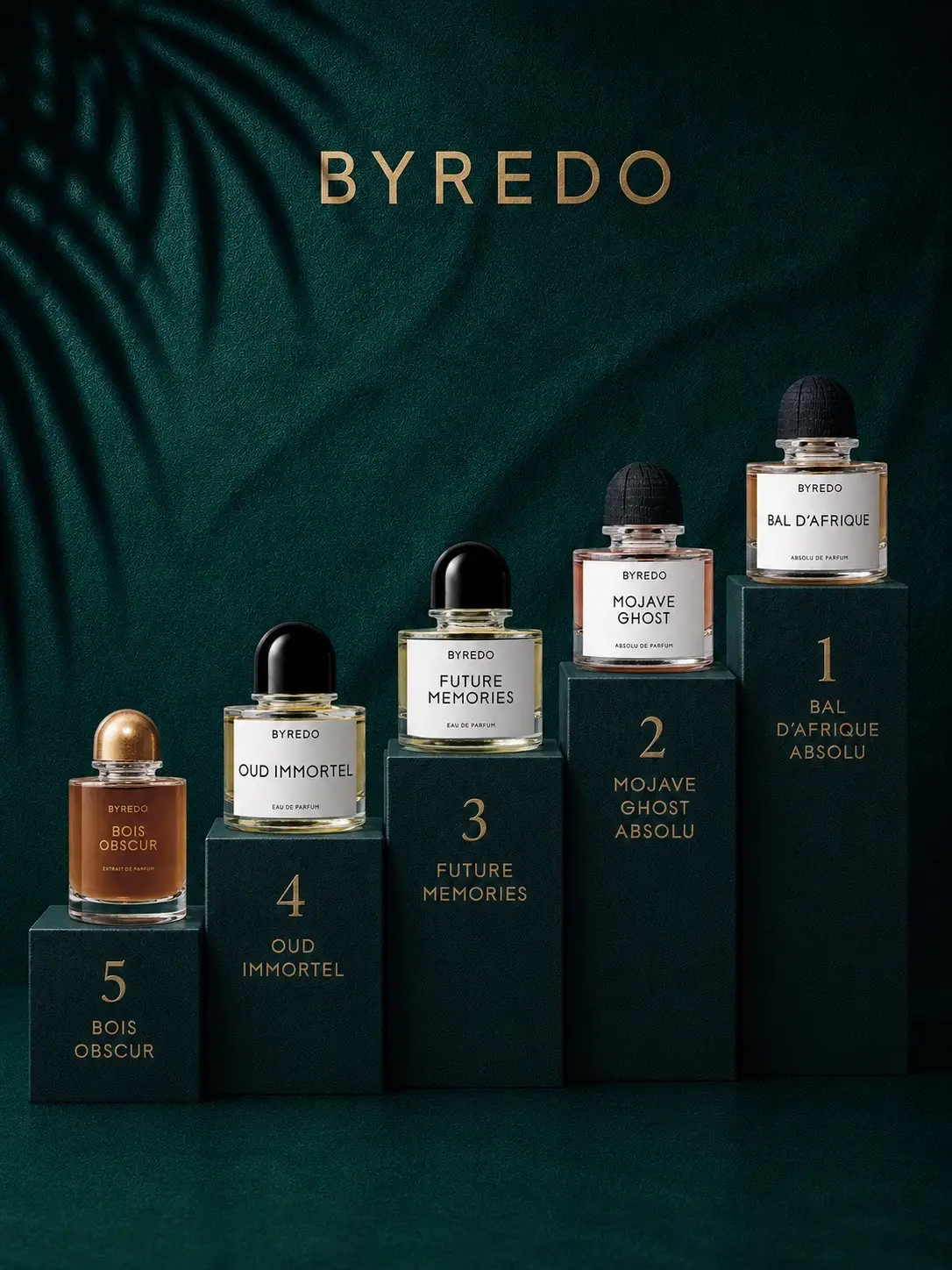 Ranking the best fragrances from eight of the biggest luxury and niche fragrance