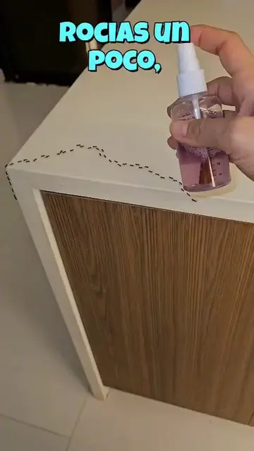 Rocía esto en tu casa y despídete de las cucarachas, hormigas y demás insectos 