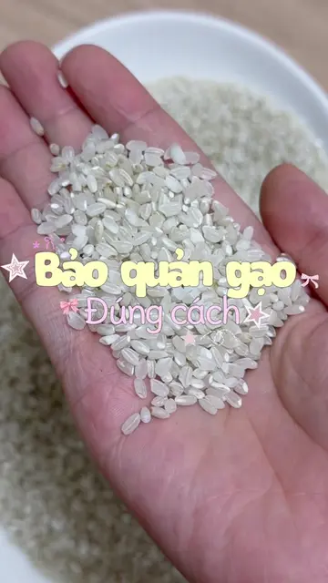 Mua gạo để chưa được 2 tháng đã h.ỏng và kiến thức mới tiếp thu của cô ấy 😅 #Le