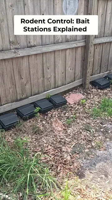 Rodent control secrets revealed! Todd the Exterminator shows professional statio