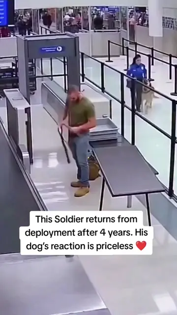 The dog escorted the soldier home. 😘 ❤️#pet #cat #dog #cute #animals  
