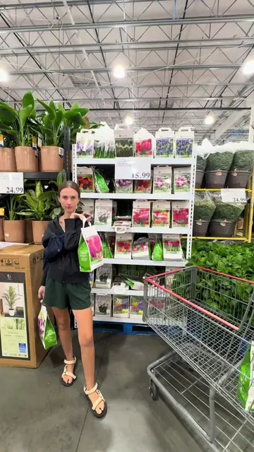 Colorblends is my ride or die, but I can’t resist a Costco pack of tulips.   #bu