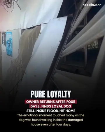 An emotional scene has touched many people after a homeowner returned to a flood