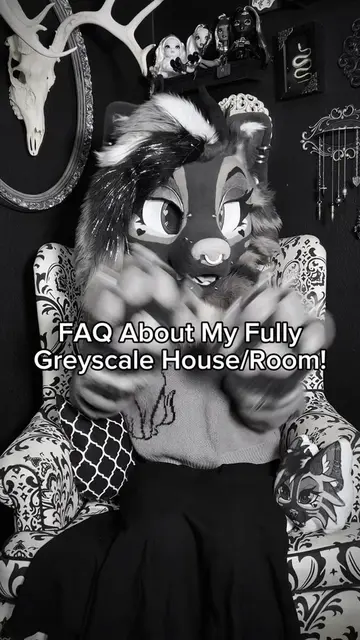 Everyone really enjoyed my last FAQ about my fully greyscale room/house, so I th