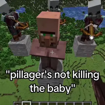 Even pillagers are more honorable | Song: ENTITY.096 | ib @ross.editpeak #pillag