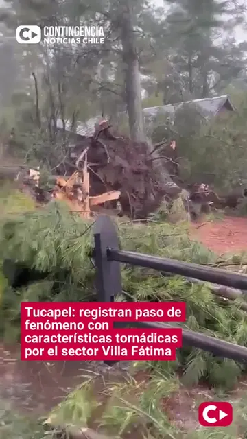 🌪️ IMPACTANTE REGISTRO EN TUCAPEL: FENÓMENO CON CARACTERÍSTICAS TORNÁDICAS PASÓ