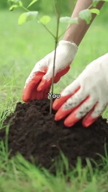 Although you may not be able to save every forest, your everyday choices can sti