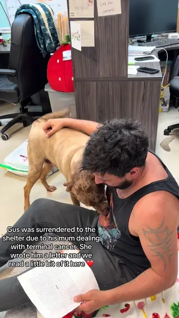 Gus has such a tragic story. Gus’s mum reached out to The City of Mobile Animal 