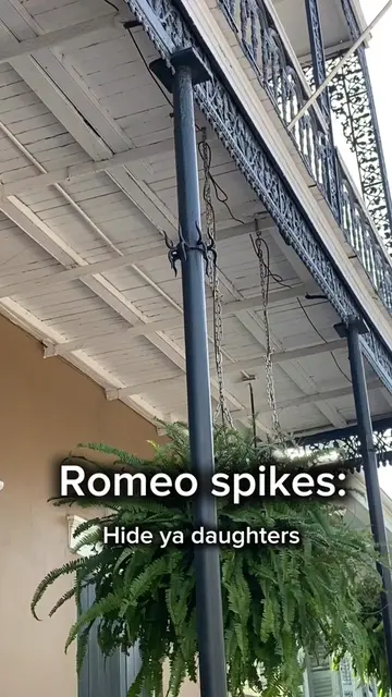 Look closely at the historic balconies and in New Orleans, and you may spot the 