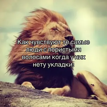 #щп #щитпост #лев #fyp 