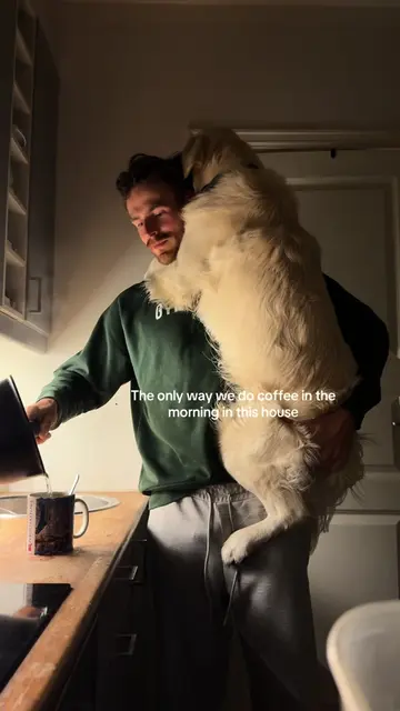 The only way I’ll take my coffee in the morning in this house #coffee #dog #fyp 