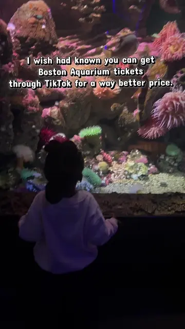 Hey! Did you know you can use the TikTok app to find discounted tickets to the a