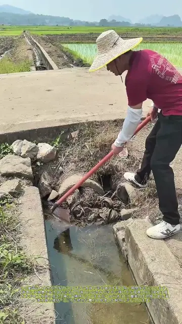土を掻き出す力：田舎の水路清掃が育む“命の流れ”の秘密