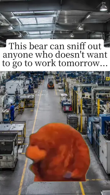 He’s sniffed out the truth... 😂🐻 Be honest, who’s already mentally called in s